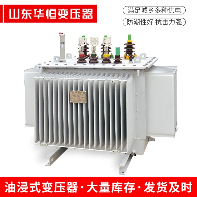 S13-10000/35乡城乡城乡城电力变压器